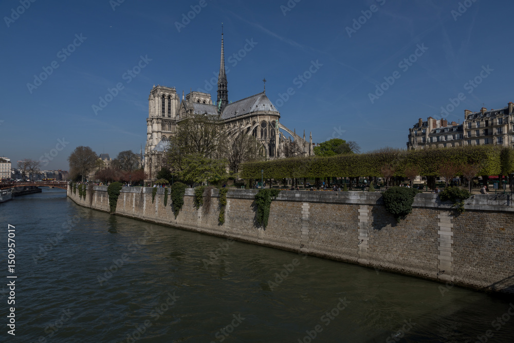 Fototapeta premium Notre Dame in Paris, France, World Heritage