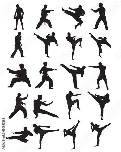 Martial Arts Silhouettes
