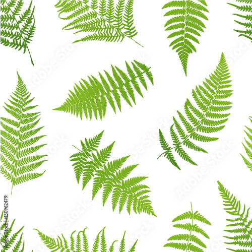 Fern seamless pattern. Vector illustration