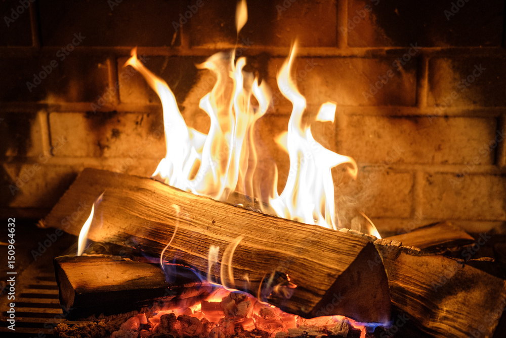 fire burns in the fireplace - obrazy, fototapety, plakaty 