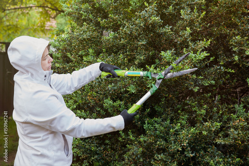 woman trimming hedges using gardening shears