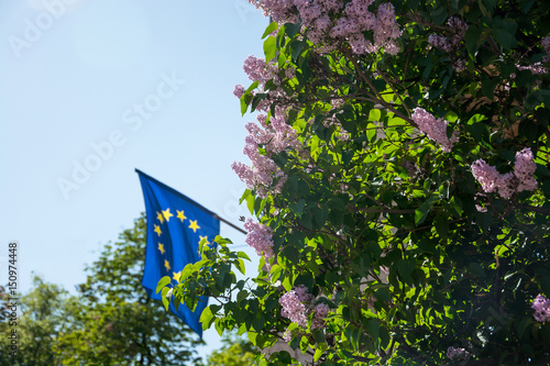Lilac bush and the flag of the European Union on the sky background