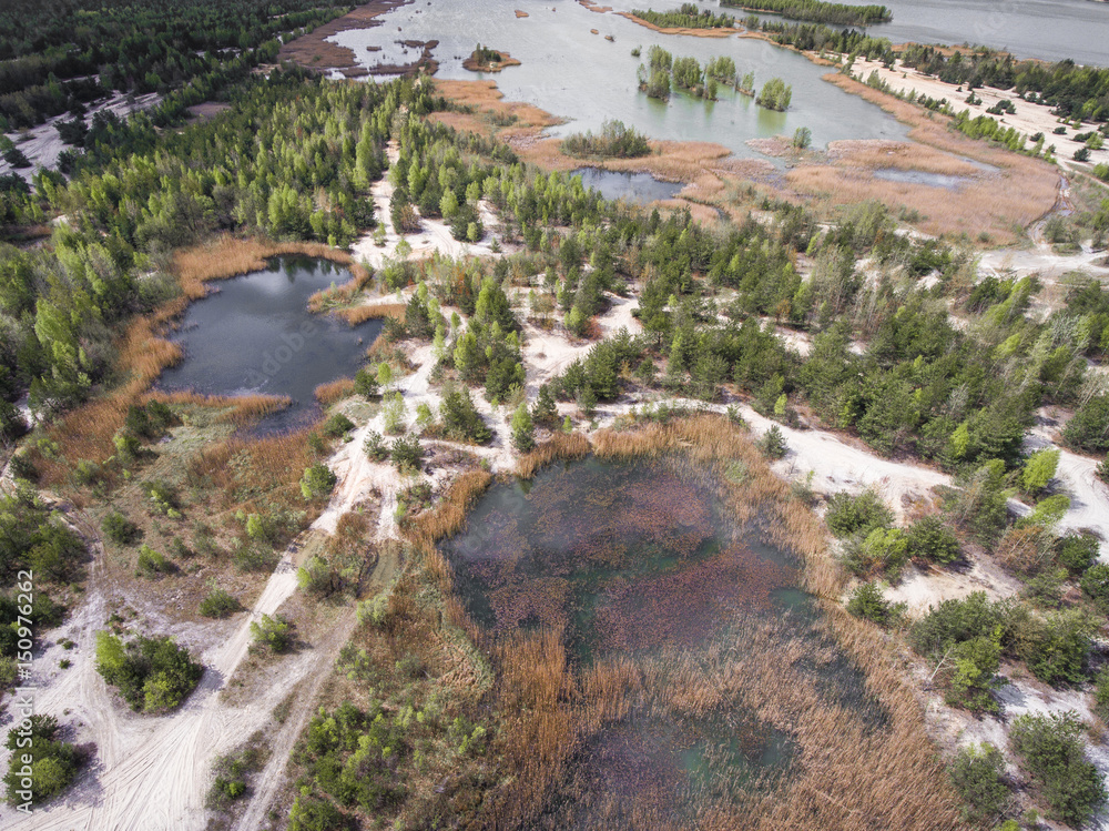 Lake and forest during spring time. View from above. Pogoria IV in Dabrowa Gornicza, Poland.