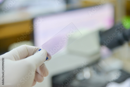 Hand scientist working in laboratory.