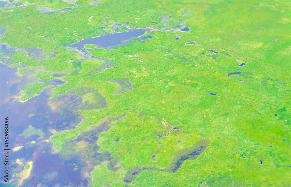Luftaufnahme von grüner, wilder Küste/ Wasserlandschaft/ Schwemmland, Dänemark, Europa