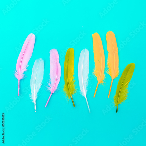 Feathers candy colors minimal art design fashion