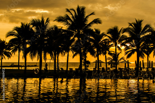 Palm trees silhouettes © khunkornStudio