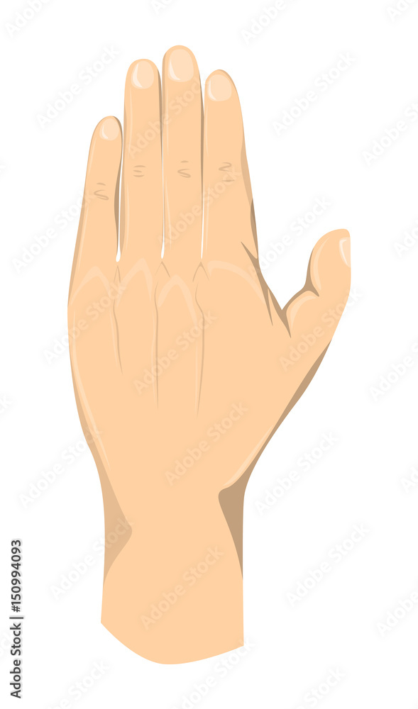Isolated hand palm on white background. Symbol of showing, wish. Isolated hand palm on white background. Symbol of showing, wish.