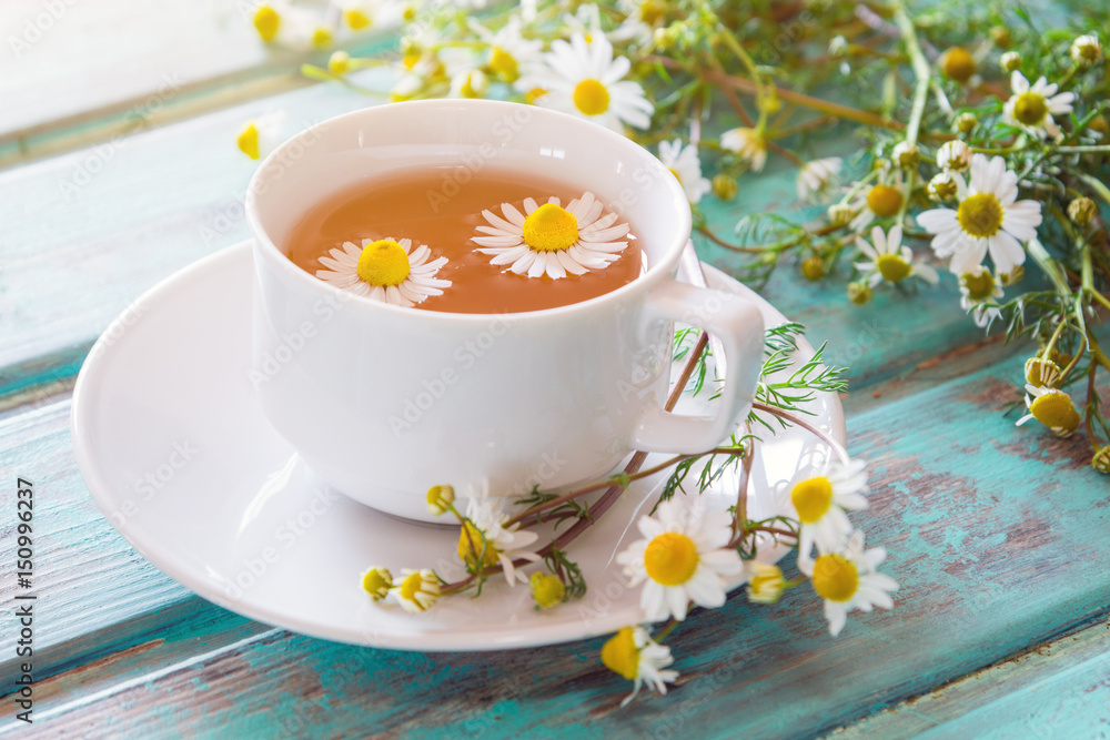 Tasse Kamillentee dekoriert mit frischen Kamillenblüten Tasse Kamillentee dekoriert mit frischen Kamillenblüten