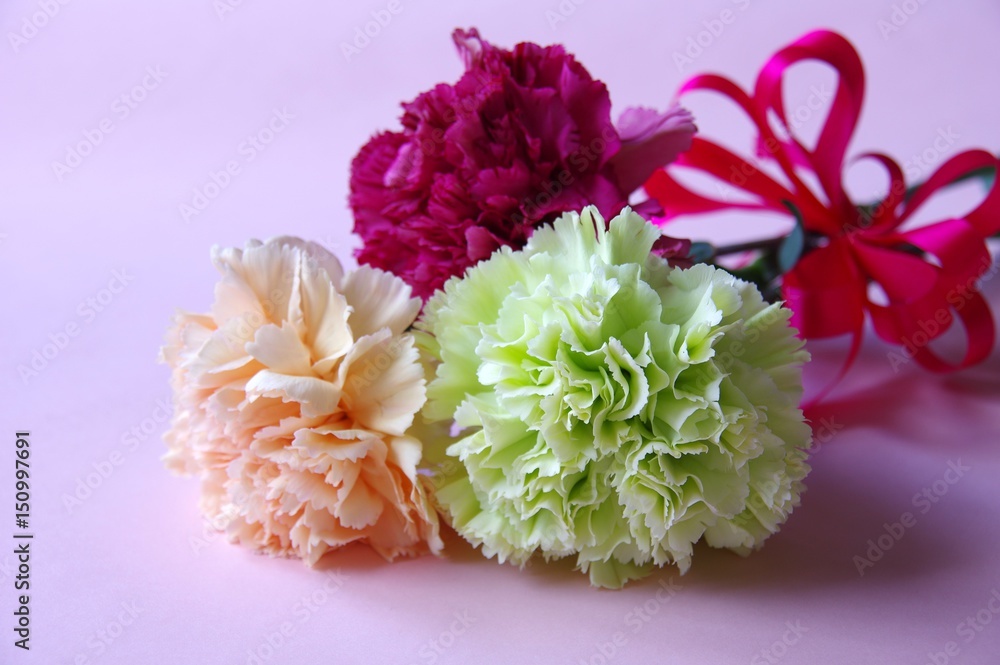 花束 カネション Stock Photo Adobe Stock