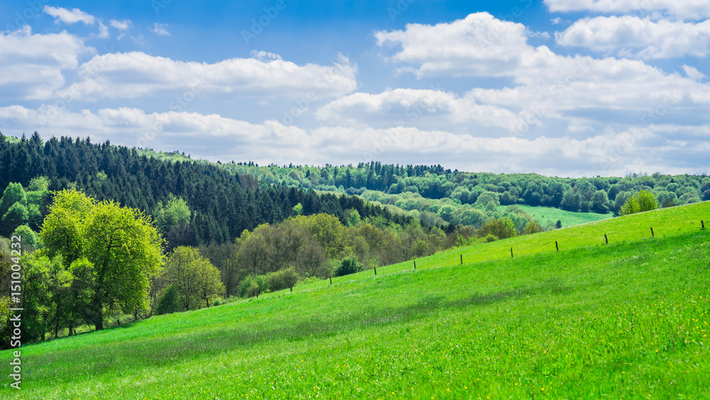 Deutschland Saarland Landschaft mit Viehweide und Mischwald im Frühling bei 66646 Marpingen