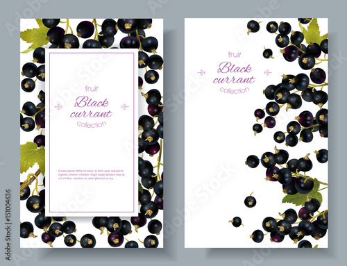 Vector black currant vertical banners on white background. Design for sweets and pastries filled with berry, dessert menu, natural cosmetics, health care products. With place for text