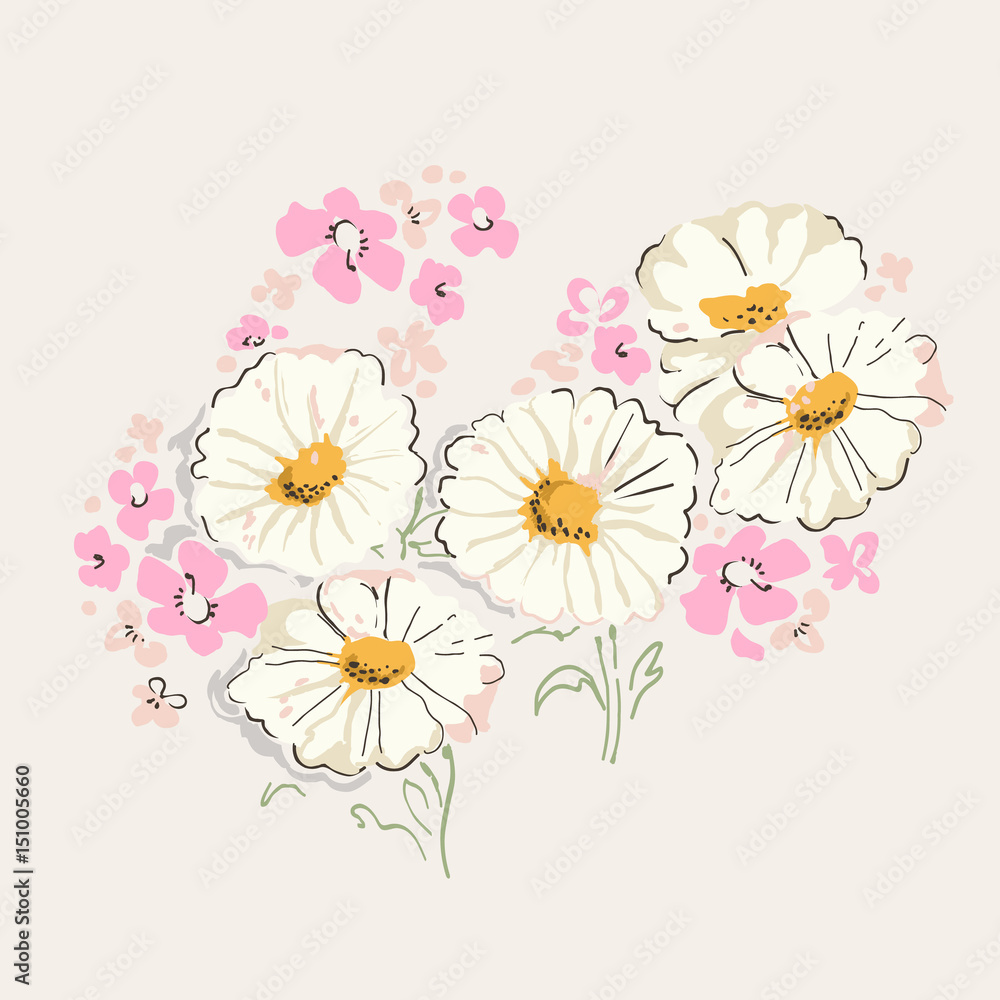 Daisies flower illustration