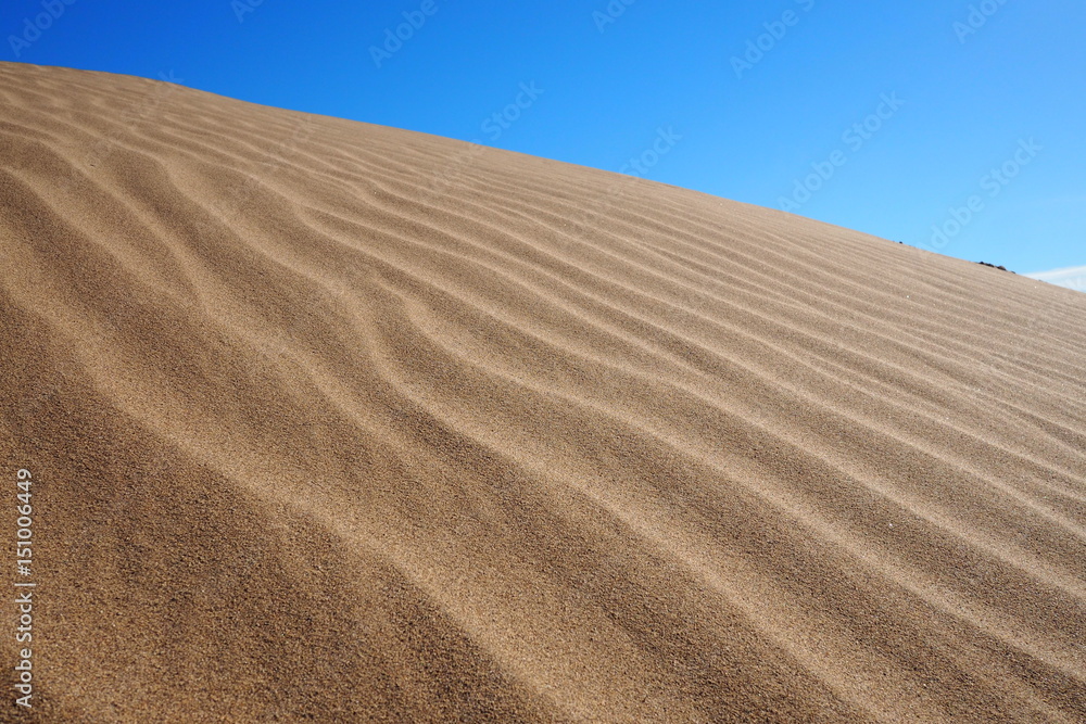 Naklejka premium Desert Kavir in Iran