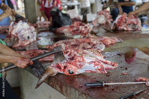 Slaughterhouse cows, beef photo