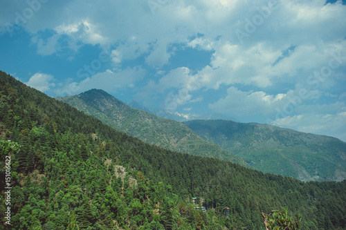 In the front: green wood on a background himalayan mountains and white clouds