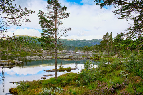 Fototapeta Naklejka Na Ścianę i Meble -  Lake surrounded by granite cliffs in the wilderness in the norwegian mountains with vegetation and pine trees