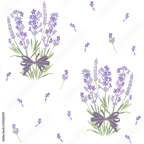 Seamless vector pattern with bouquets of lavender. Floral  illustration on white background.