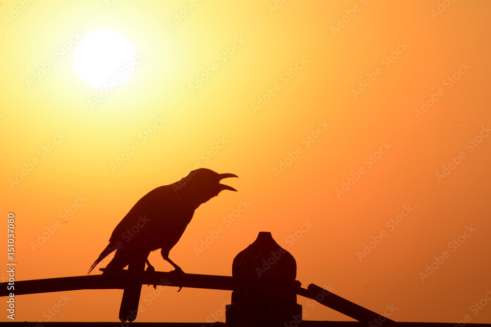 Naklejka premium WARM AND HOT SUMMER EVENING