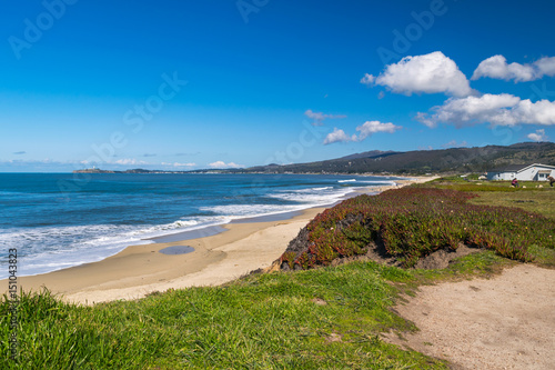 Overview of Pacific Ocean Coastline at Half Moon Bay  California  North America  USA