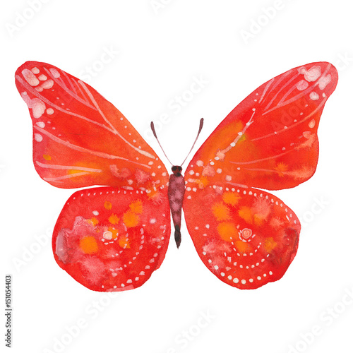 watercolor red  butterfly © dvoriankin