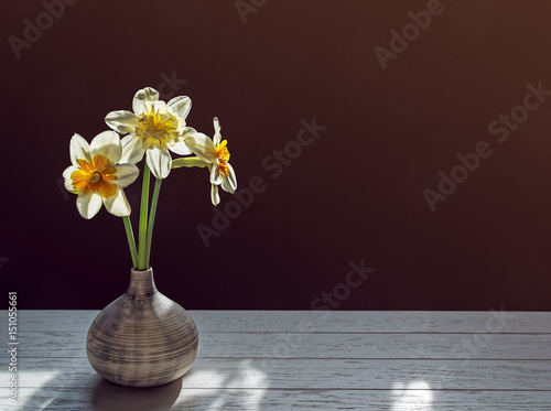Fototapeta Naklejka Na Ścianę i Meble -  Three daffodils in a small vase on a dark background