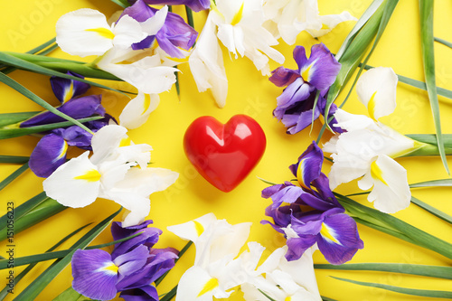 Fototapeta Naklejka Na Ścianę i Meble -  Purple and white iris flowers on yellow background