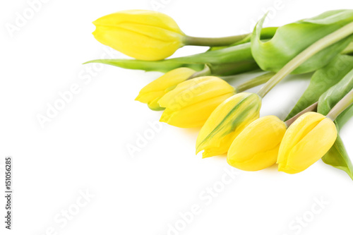 Bouquet of tulips isolated on a white