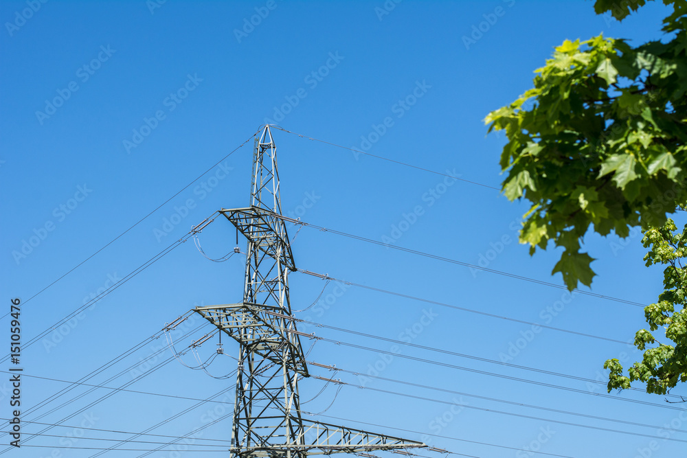 Obraz premium Strommast mit Leitung und Baum