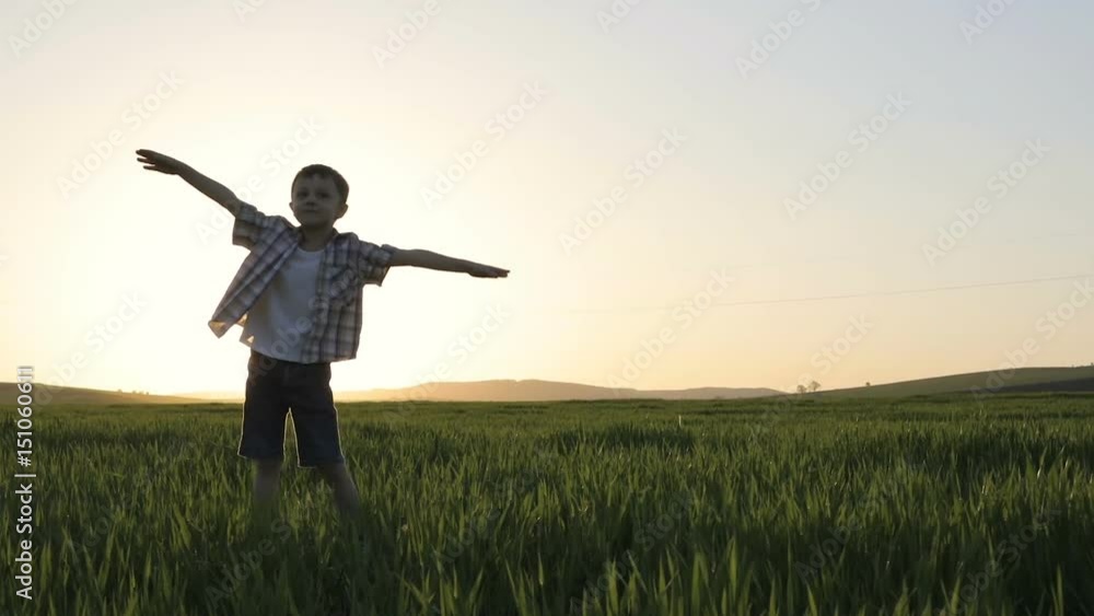 custom made wallpaper toronto digitalOne happy little boy playing in the field at the sunset time. Concept of happy game.