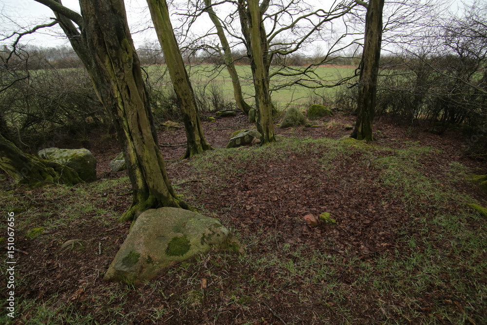 Remains of megalithic tomb Neu Negentin in Mecklenburg-Vorpommern, Germany Remains of megalithic tomb Neu Negentin in Mecklenburg-Vorpommern, Germany