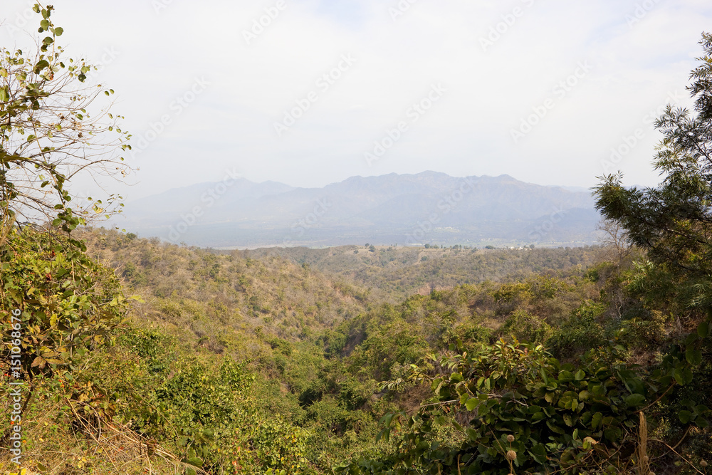 morni hills acacia forest
