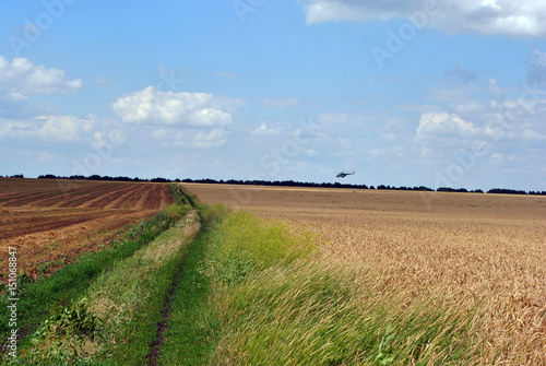 Helicopter flies to Donbass, Ukraine, over a field of ripe wheat and road with green grass, cloudy sky