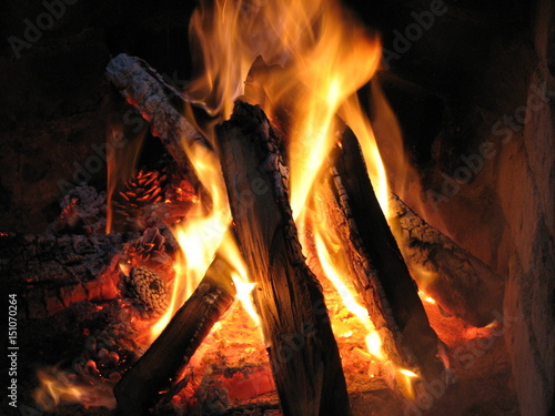 bonfire