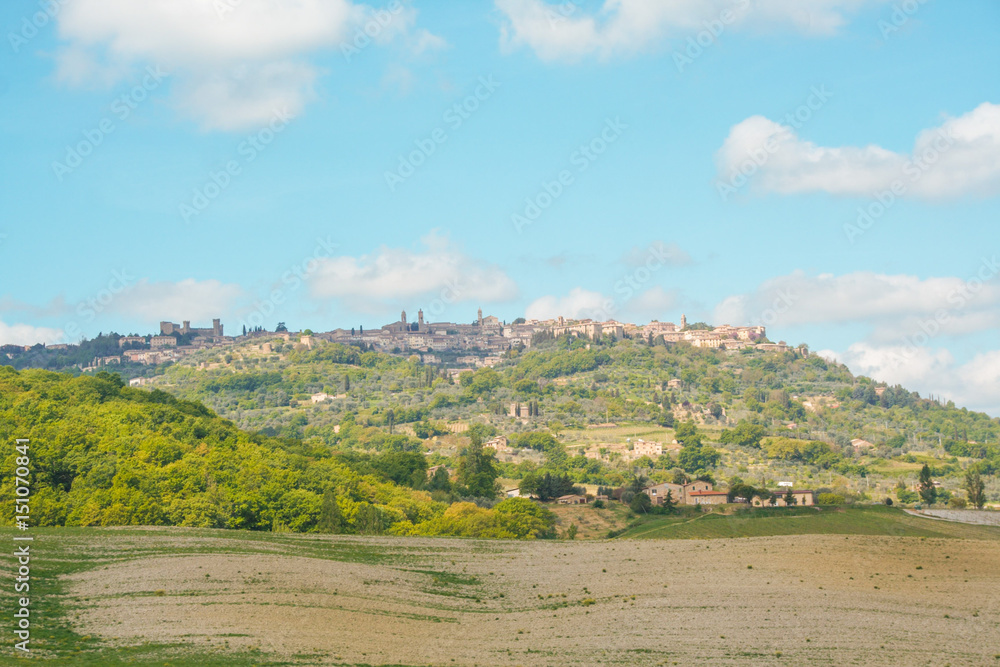 Fototapeta premium Landscape of Montalcino