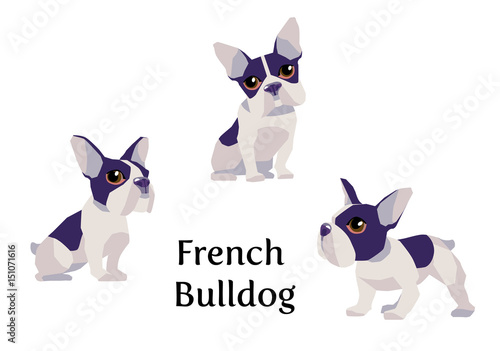 Vector illustration of French Bulldog in different poses isolated on white background. © rozmarin