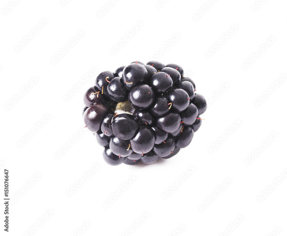 blackberry black natural white background blackberry black natural white background
