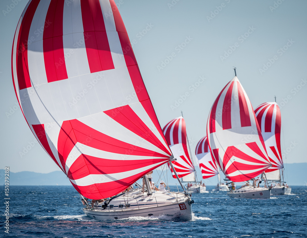 Fototapeta premium Fleet of sailing boats with spinnaker during offshore race