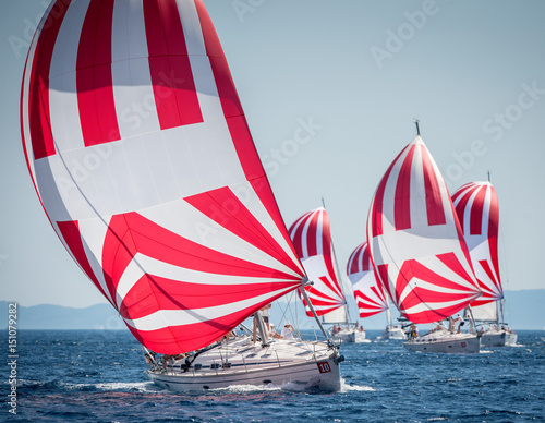 Fleet of sailing boats with spinnaker during offshore race