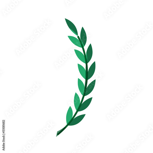 leaves icon over white background. vector illustration