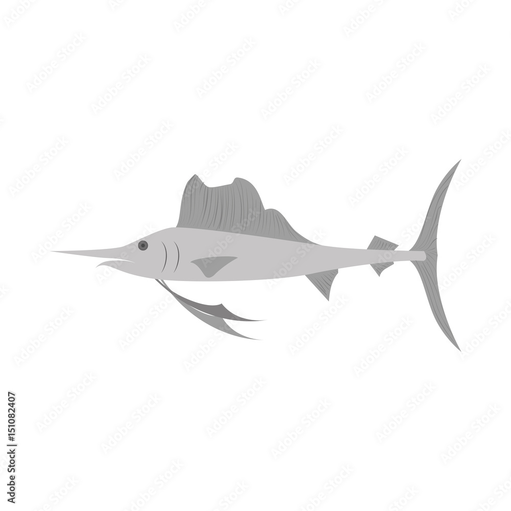 swordfish icon over white background. vector illustration