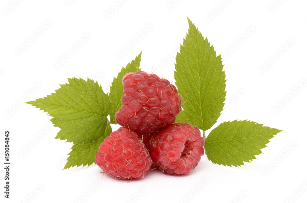 Raspberries on a white background Raspberries on a white background
