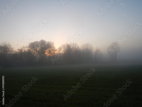 foggy morning with shining sun