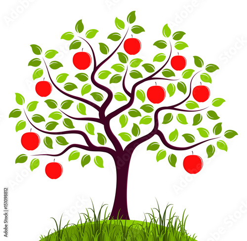 apple tree