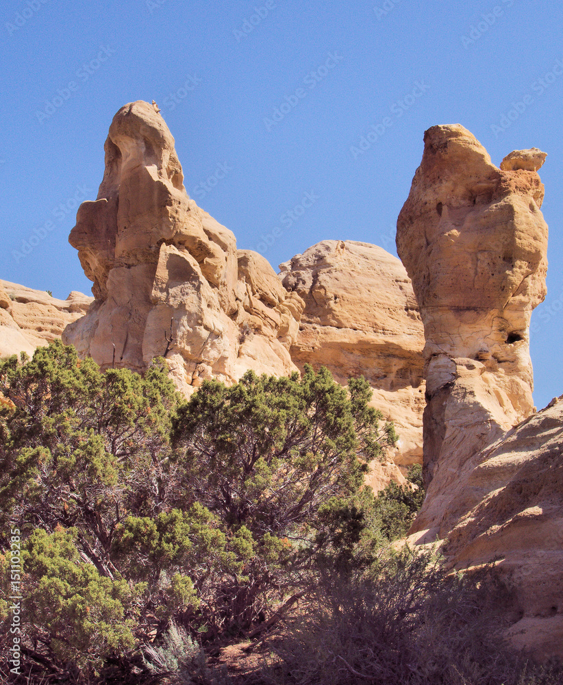 The Guardians / Hoodoos in Pilares Canyon near Aztec, New Mexico