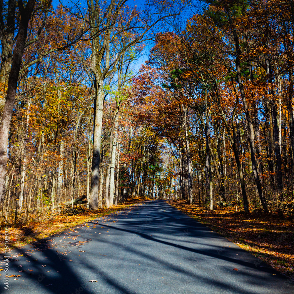 Gettysburg Military National Park in Autumn / Fall