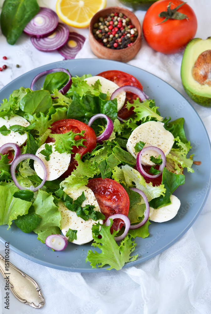 Vegetable salad with tomatoes, mozzarella and sauce on a marble background. Vegetable salad with tomatoes, mozzarella and sauce on a marble background.