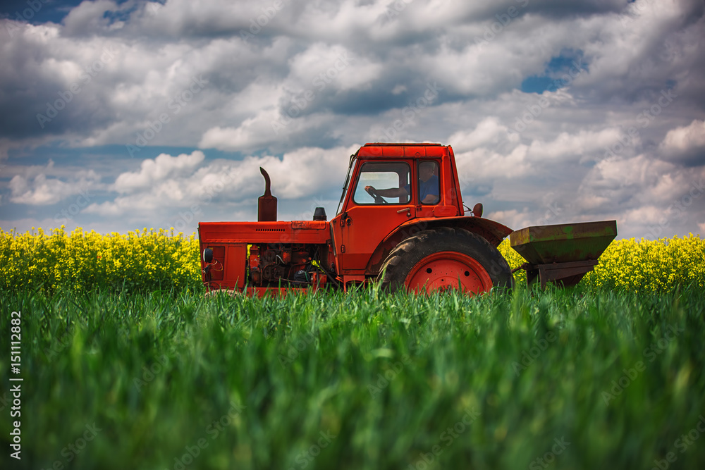 Obraz premium Red tractor in a field