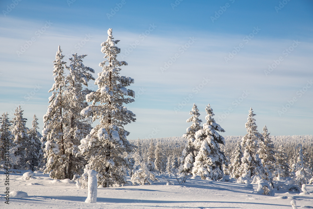 Obraz premium Winter landscape in Lapland, Finland.