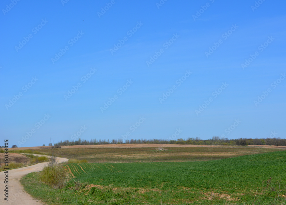 Beautiful spring rural landscape: the road leaving into the sky